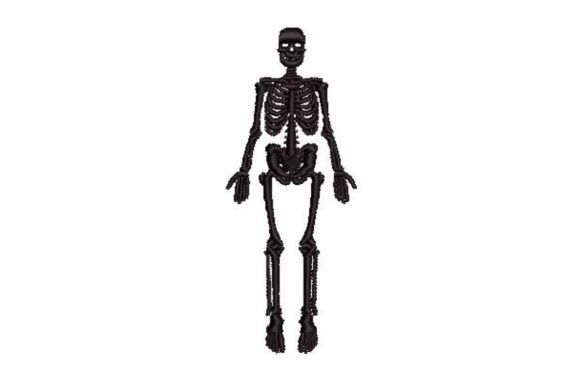 Vintage Anatomical Skeleton: An Embroidery Review